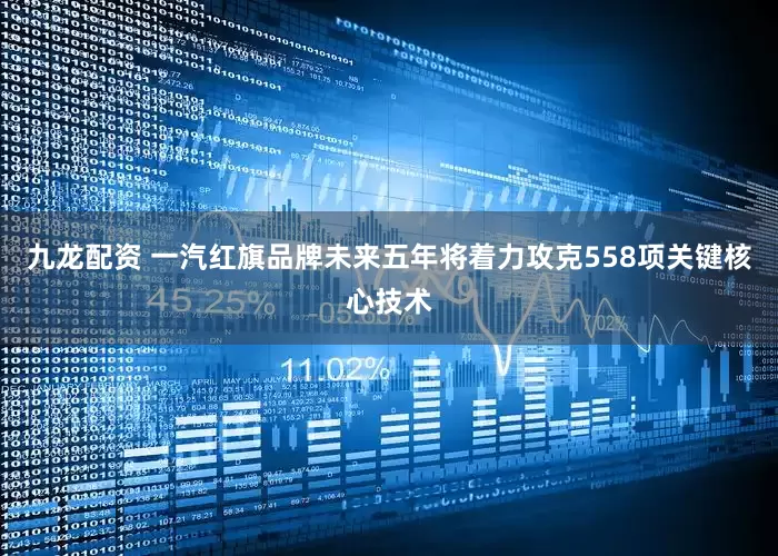 九龙配资 一汽红旗品牌未来五年将着力攻克558项关键核心技术