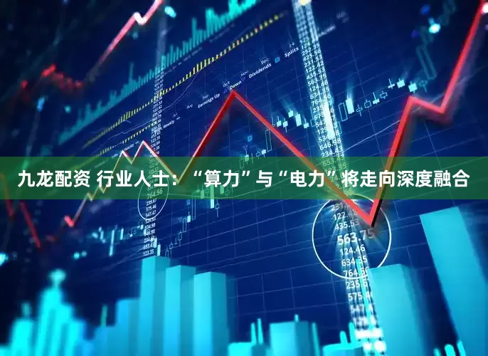 九龙配资 行业人士：“算力”与“电力”将走向深度融合
