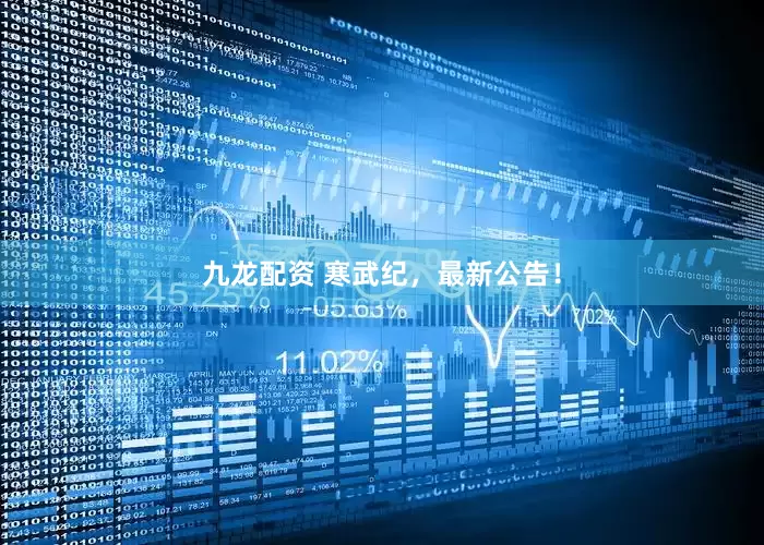 九龙配资 寒武纪，最新公告！