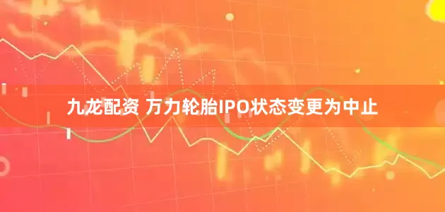九龙配资 万力轮胎IPO状态变更为中止